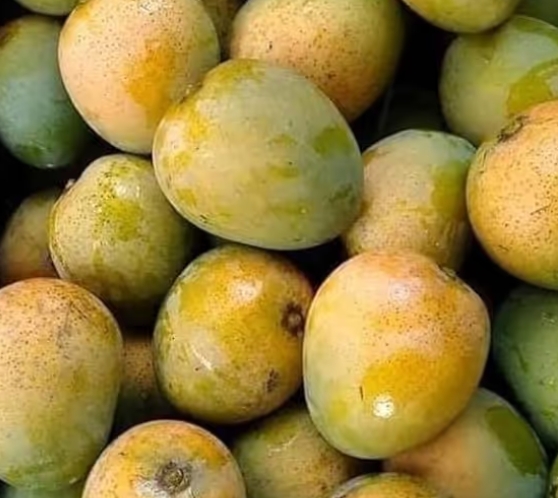 Himsagor (হিমসাগর 5kg) mango