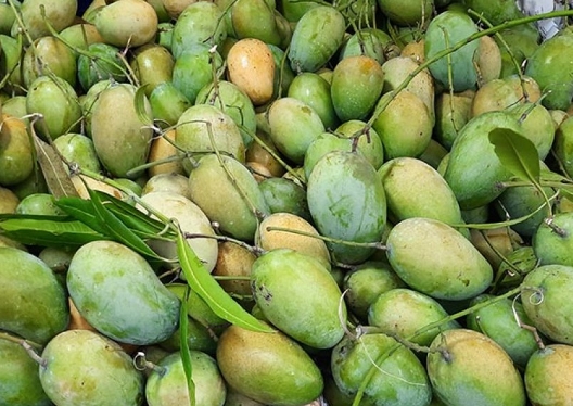 Fruits