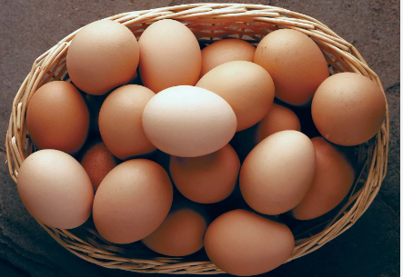 Egg